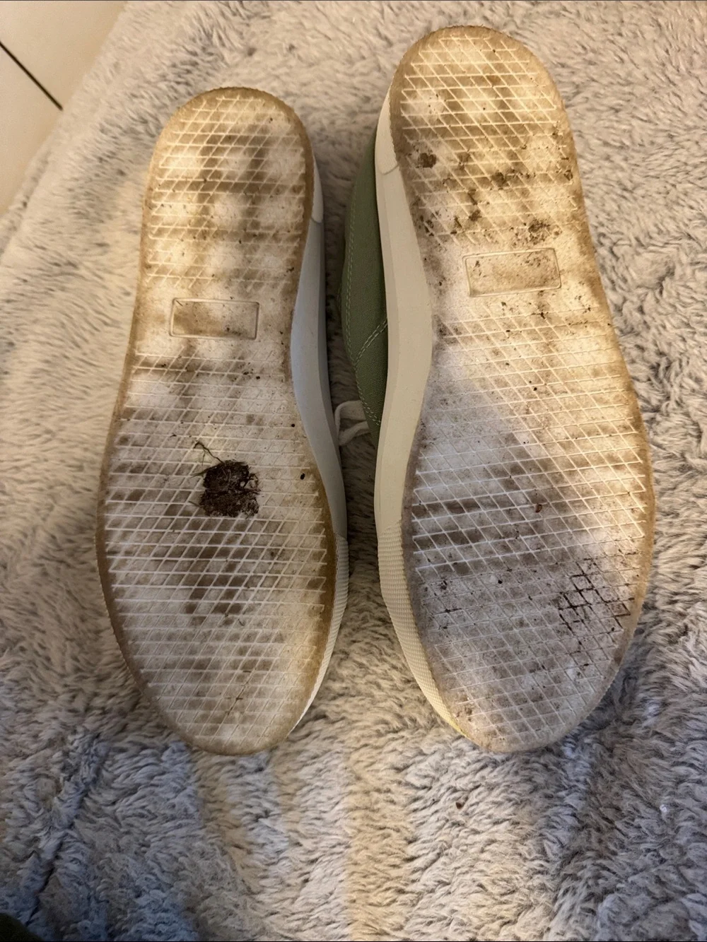 Natural Reflections gently used
